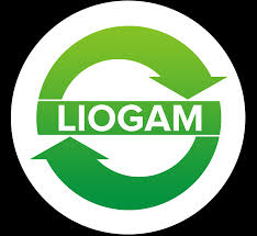 LIOGAM